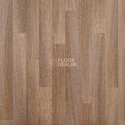 Линолеум Tarkett Лин Быт 31-3,2 ДУБ САВЕРН фото 1 | FLOORDEALER